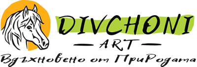 divchoniart.com